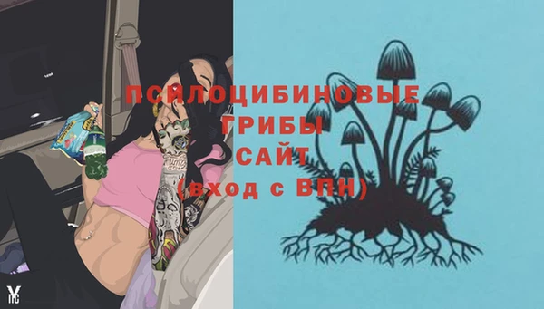 гашиш Новокубанск