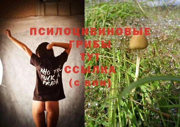 ALPHA-PVP Нефтекумск