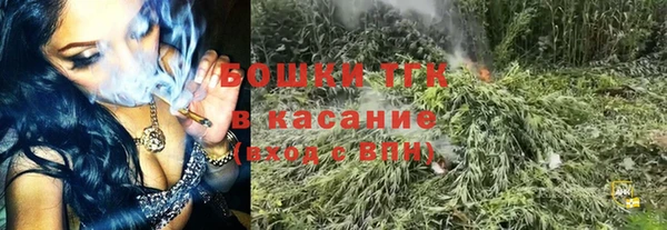 стаф Наволоки