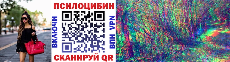 Псилоцибиновые грибы Magic Shrooms  Сальск 