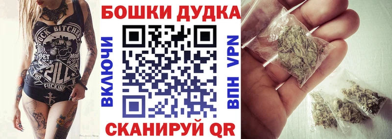 Конопля гибрид  Сальск 